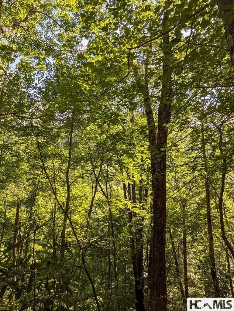 Lot 24 Pilot Knob Road Glenville NC 28736