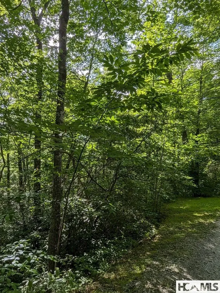 Lot 24 Pilot Knob Road Glenville NC 28736