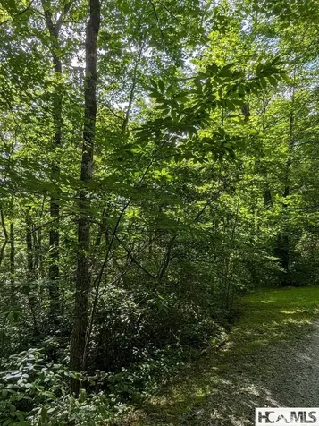 Lot 24 Pilot Knob Road Glenville NC 28736