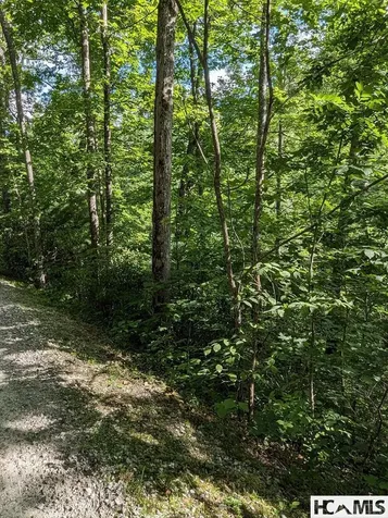 Lot 24 Pilot Knob Road Glenville NC 28736