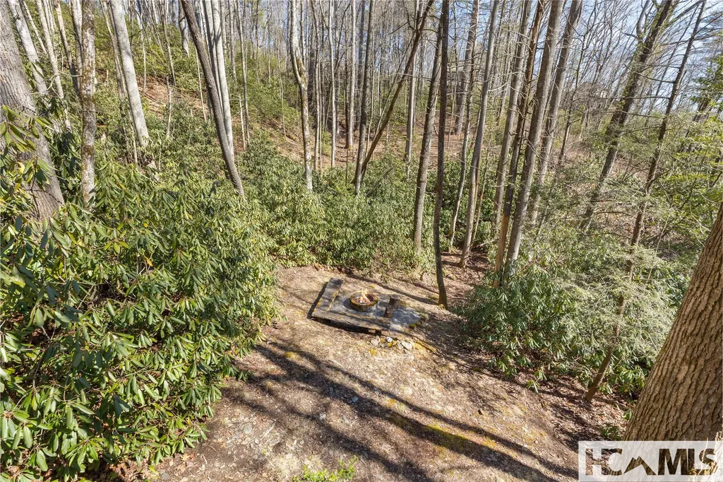 163 Sourwood Court Sapphire NC 28774