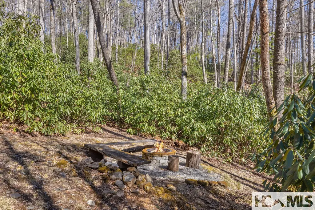 163 Sourwood Court Sapphire NC 28774