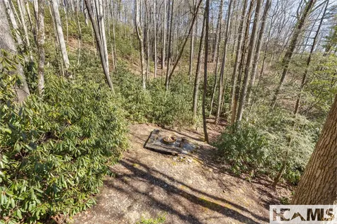 163 Sourwood Court Sapphire NC 28774