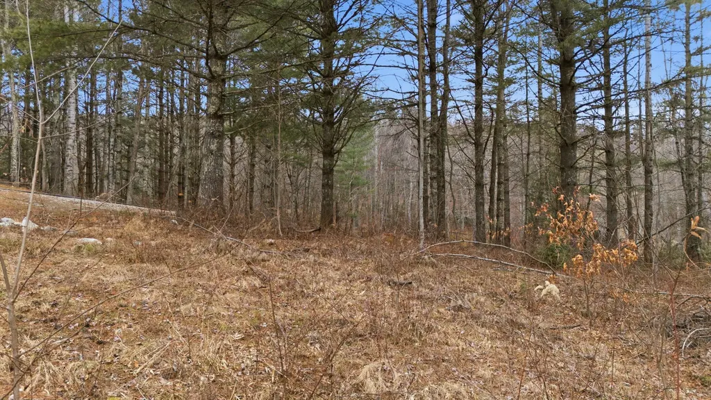 16 Trillium Ridge Road Cullowhee NC 28723