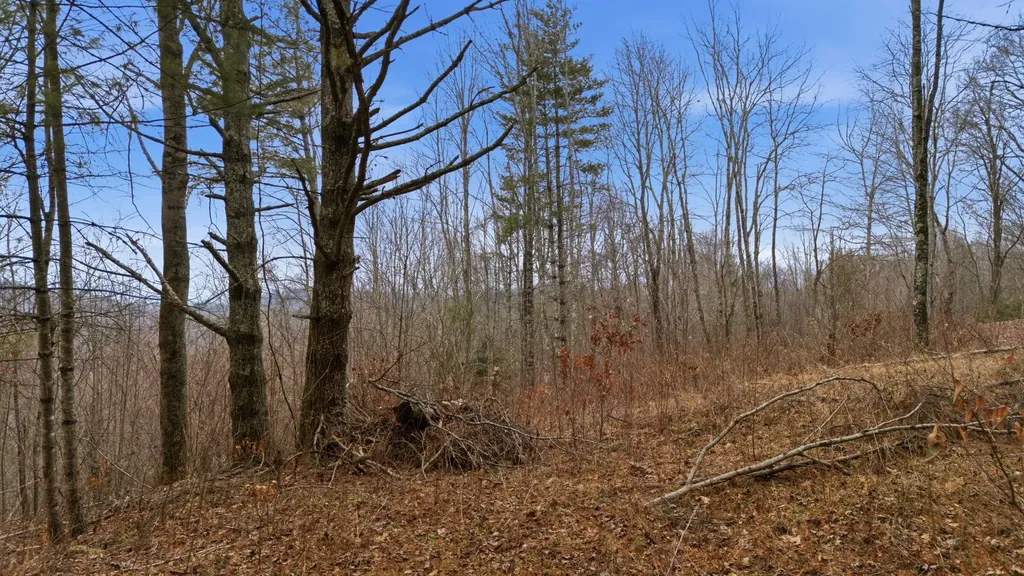 16 Trillium Ridge Road Cullowhee NC 28723