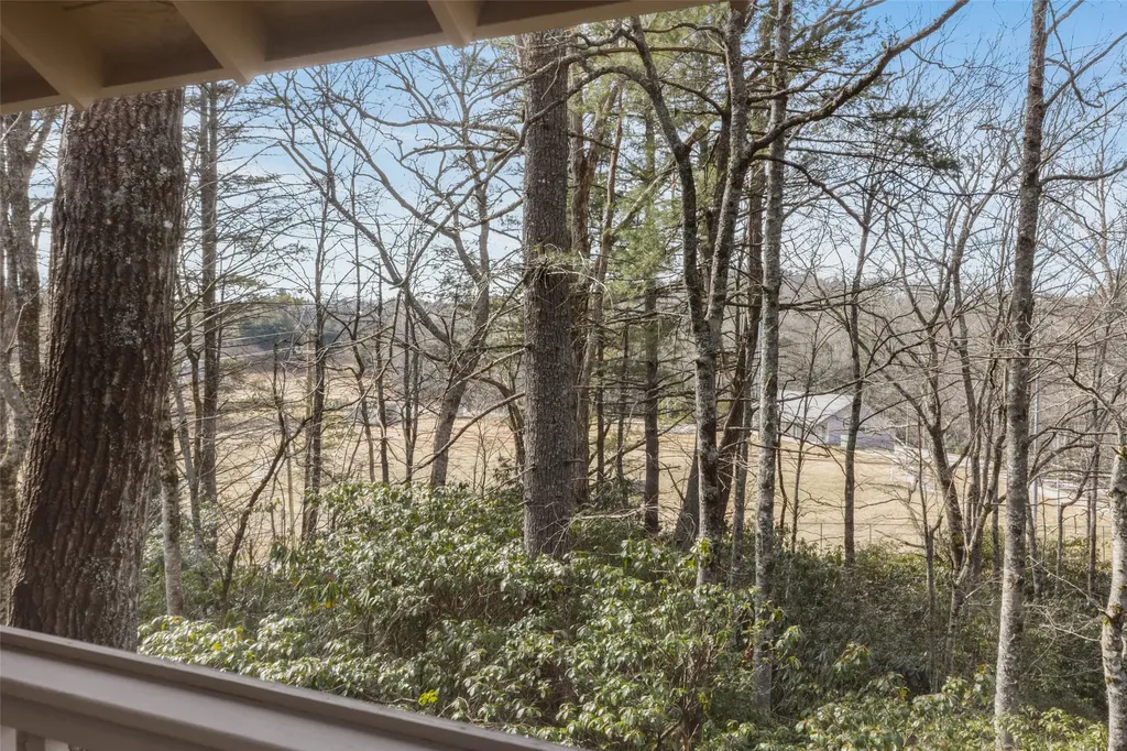 55 Wood Lily Way Highlands NC 28741