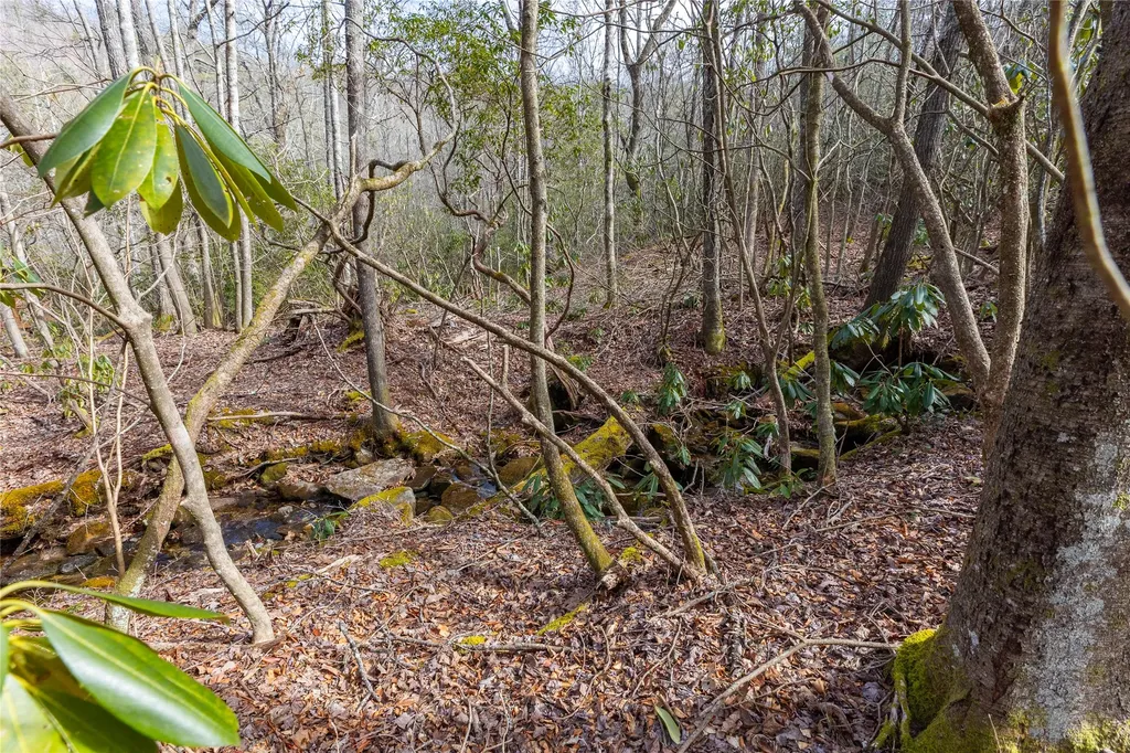 Lot 46 E Rochester Drive Cashiers NC 28717