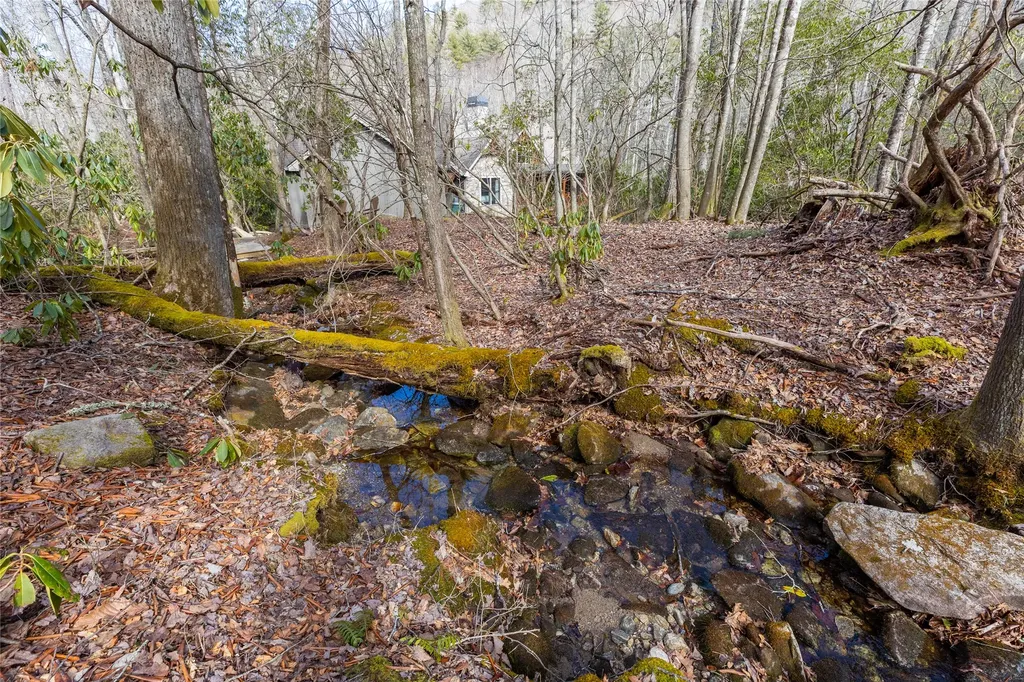 Lot 46 E Rochester Drive Cashiers NC 28717