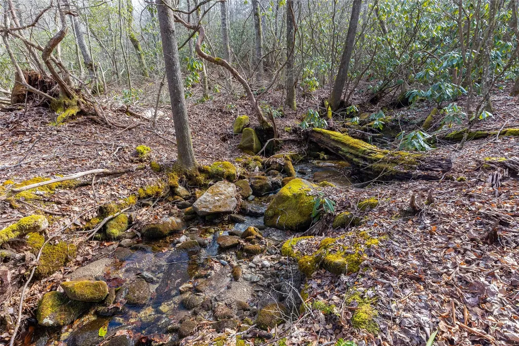 Lot 46 E Rochester Drive Cashiers NC 28717