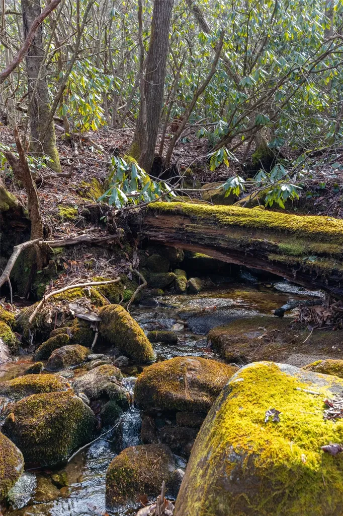 Lot 46 E Rochester Drive Cashiers NC 28717