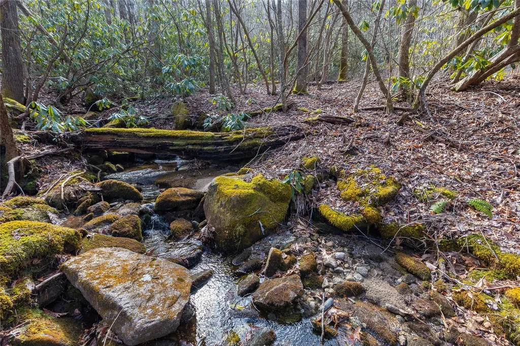 Lot 46 E Rochester Drive Cashiers NC 28717