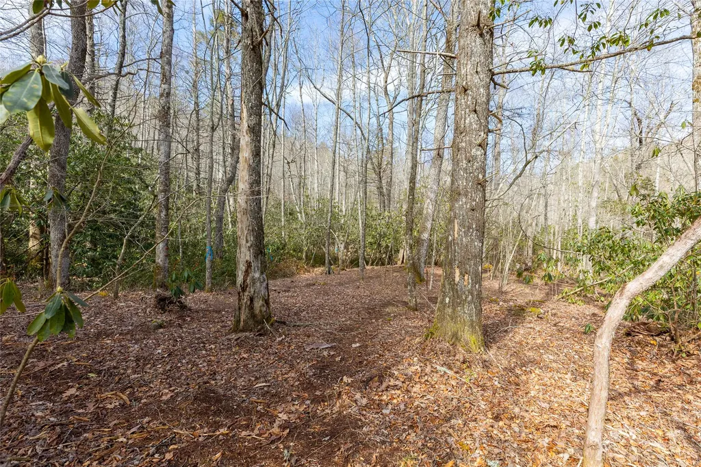 Lot 46 E Rochester Drive Cashiers NC 28717