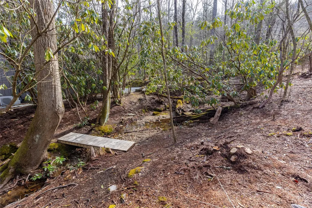 Lot 46 E Rochester Drive Cashiers NC 28717