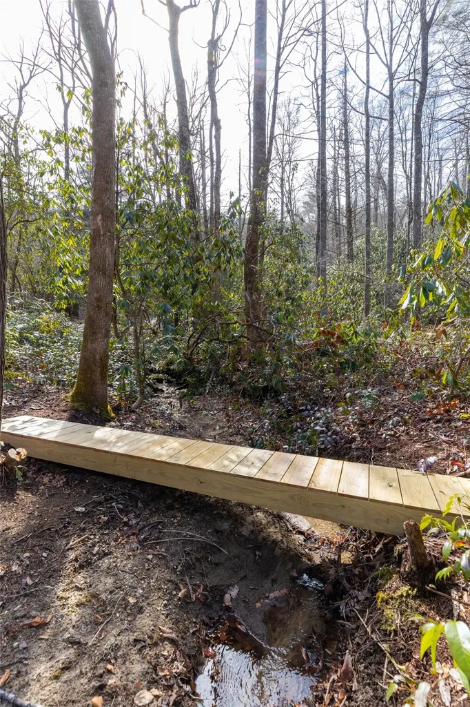 Lot 46 E Rochester Drive Cashiers NC 28717