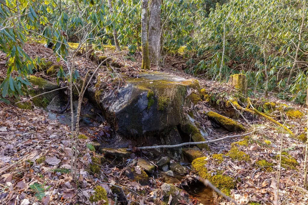 Lot 46 E Rochester Drive Cashiers NC 28717