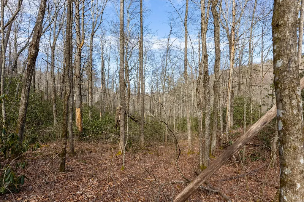 Lot 46 E Rochester Drive Cashiers NC 28717