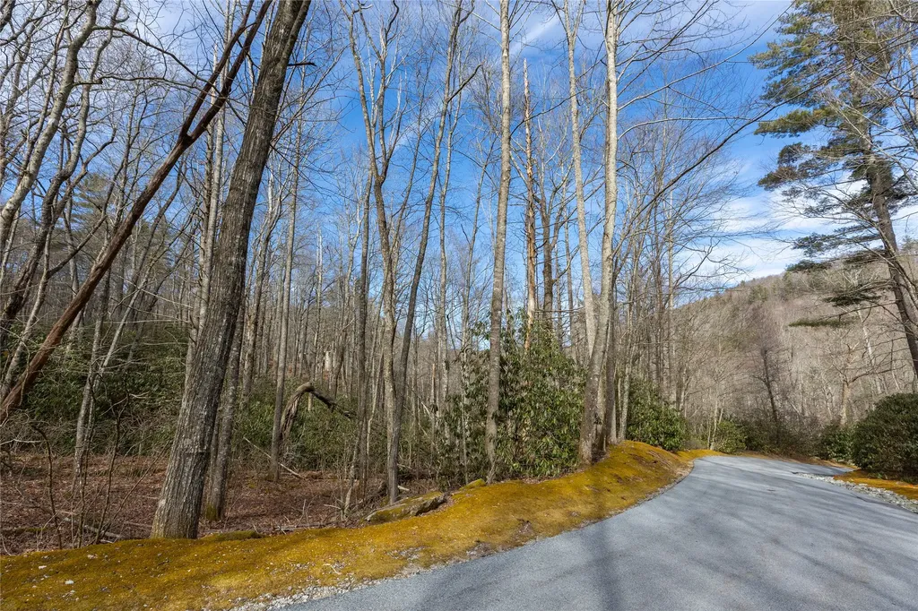 Lot 46 E Rochester Drive Cashiers NC 28717
