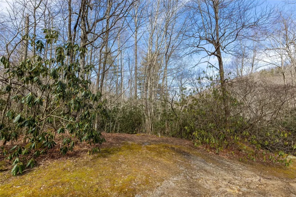 Lot 46 E Rochester Drive Cashiers NC 28717