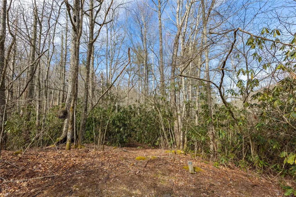 Lot 46 E Rochester Drive Cashiers NC 28717
