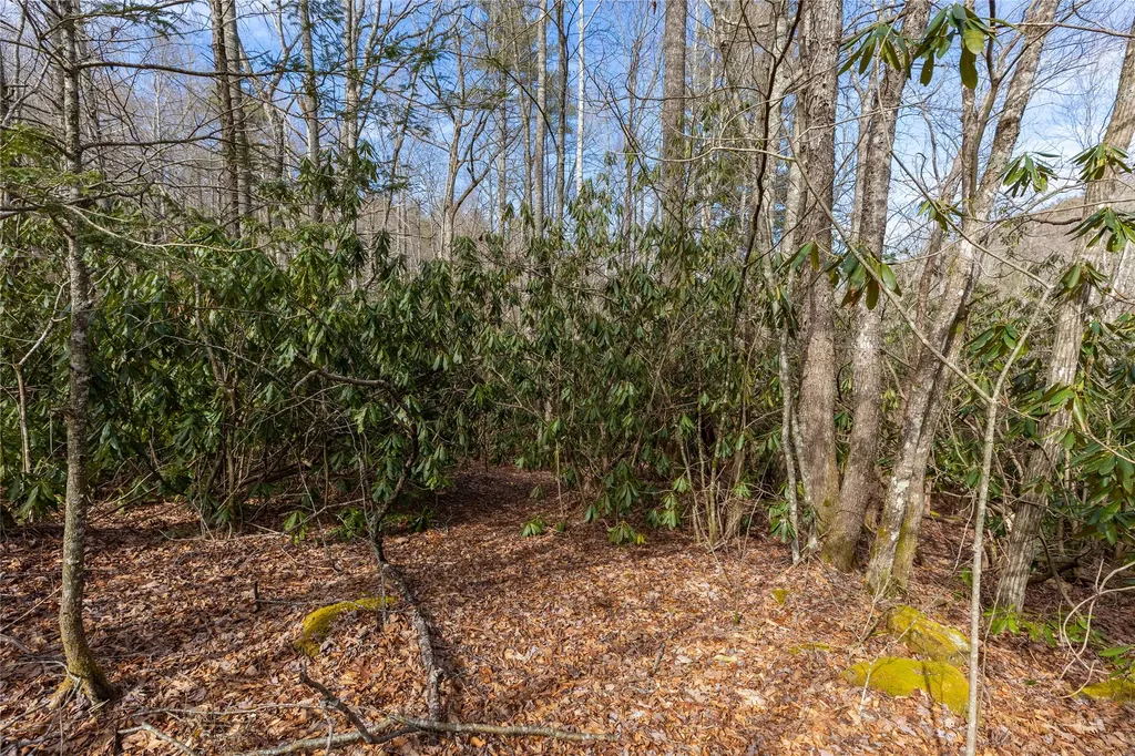 Lot 46 E Rochester Drive Cashiers NC 28717