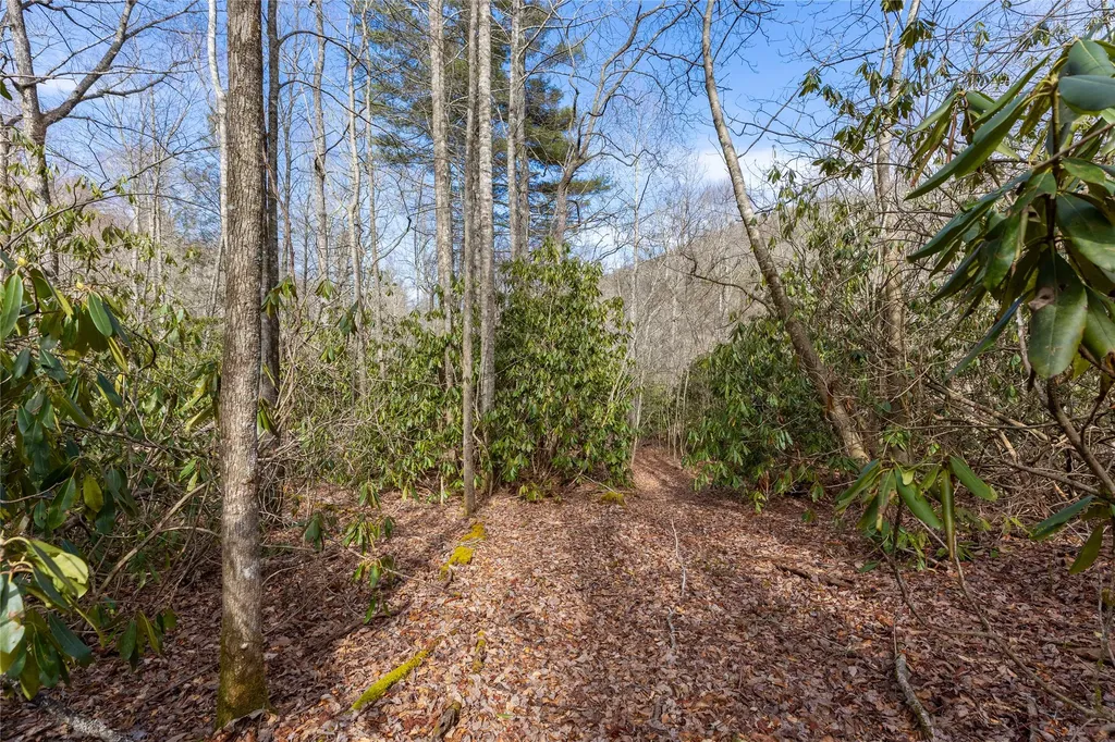 Lot 46 E Rochester Drive Cashiers NC 28717
