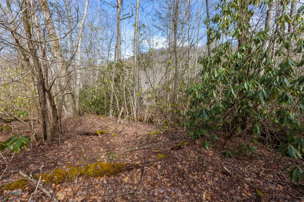 Lot 46 E Rochester Drive Cashiers NC 28717