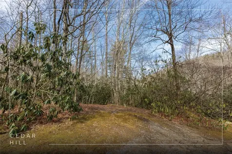 Lot 46 E Rochester Drive Cashiers NC 28717