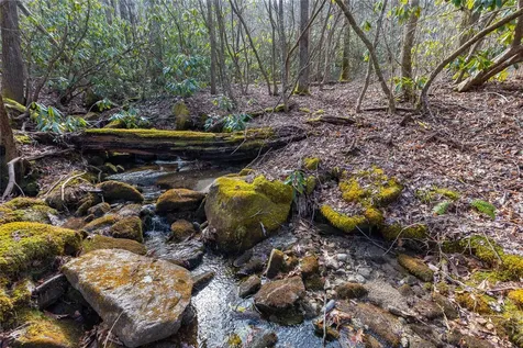 Lot 46 E Rochester Drive Cashiers NC 28717