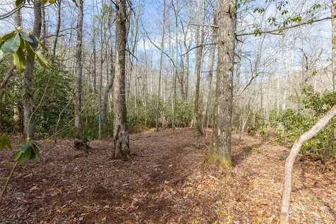 Lot 46 E Rochester Drive Cashiers NC 28717