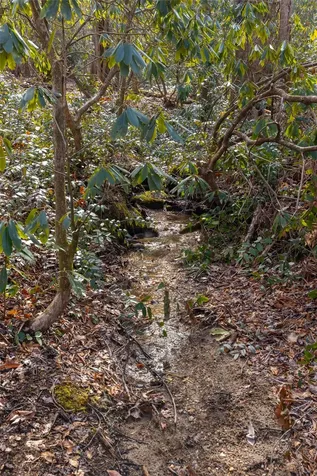 Lot 46 E Rochester Drive Cashiers NC 28717