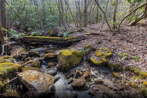 Lot 46 E Rochester Drive Cashiers NC 28717