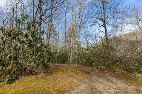 Lot 46 E Rochester Drive Cashiers NC 28717