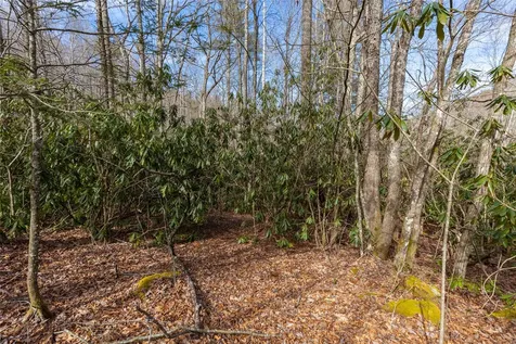 Lot 46 E Rochester Drive Cashiers NC 28717