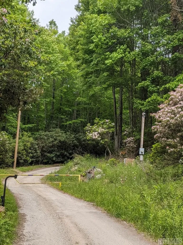 17010 Buck Knob Road Cullowhee NC 28723