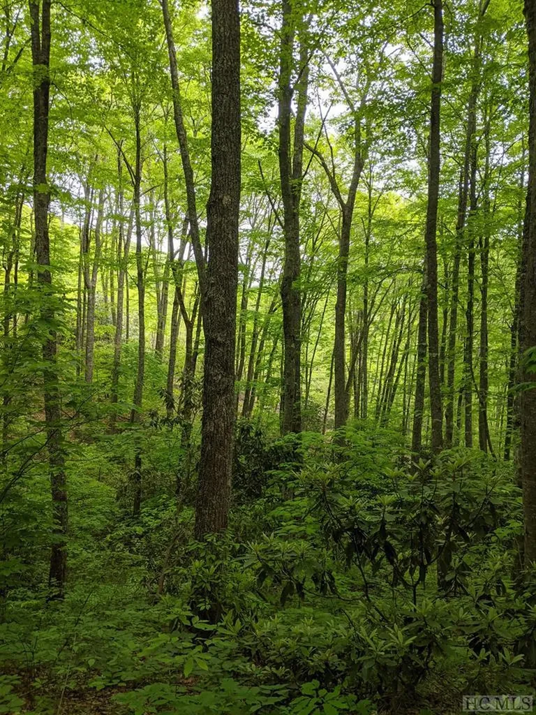 17010 Buck Knob Road Cullowhee NC 28723