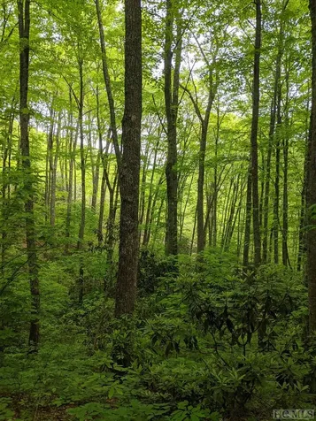 17010 Buck Knob Road Cullowhee NC 28723