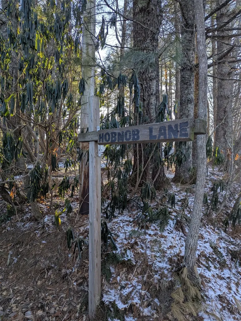 Lot A Lt A Hobnob Lane Glenville NC 28736