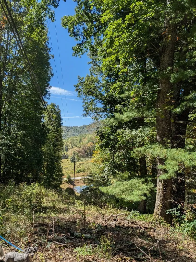 0 Double Springs Lane Cullowhee NC 28723