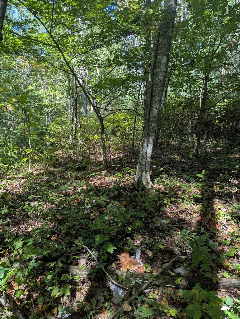 0 Double Springs Lane Cullowhee NC 28723