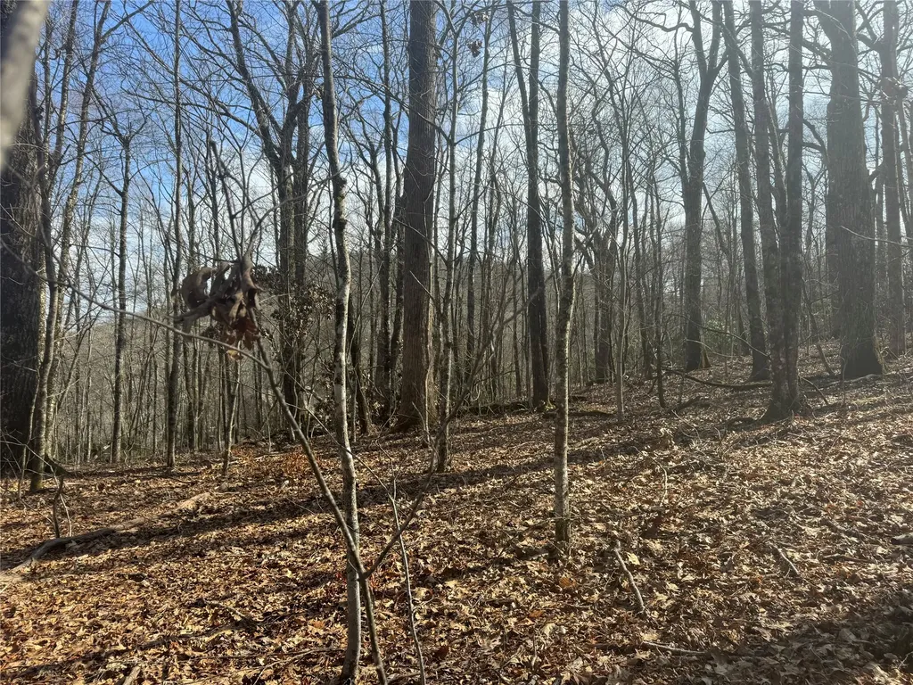 155 Windrush Trail Highlands NC 28741