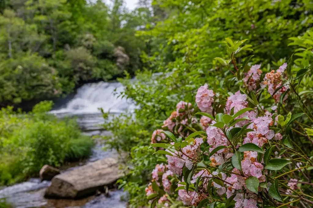 940 Winding Creek Road Sapphire NC 28774