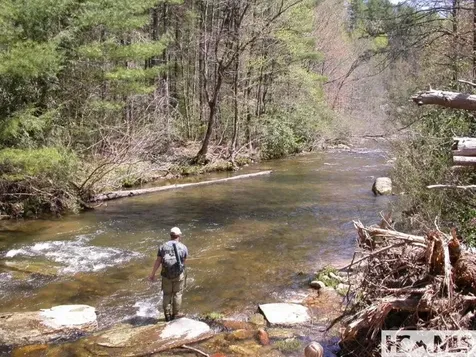 940 Winding Creek Road Sapphire NC 28774