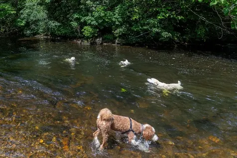 940 Winding Creek Road Sapphire NC 28774