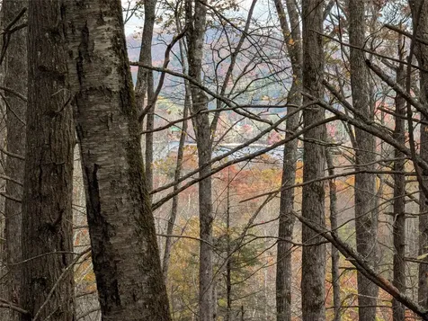 Lot 219 Drystack Way Cashiers NC 28717