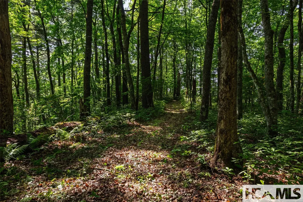 560 Salt Rock Road Cullowhee NC 28723