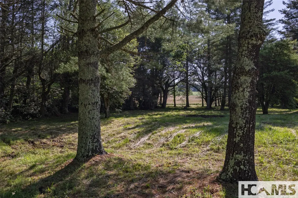 560 Salt Rock Road Cullowhee NC 28723