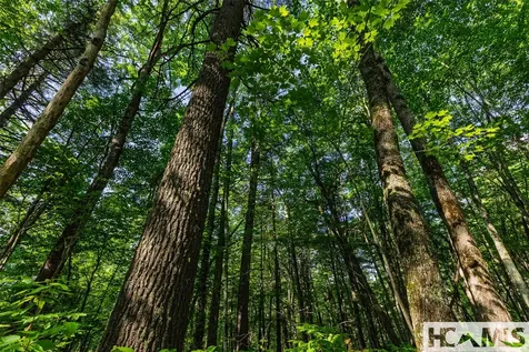 560 Salt Rock Road Cullowhee NC 28723