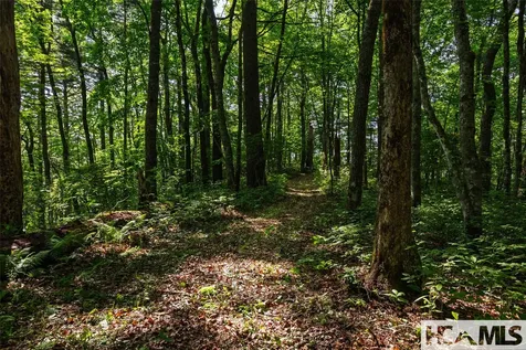 560 Salt Rock Road Cullowhee NC 28723