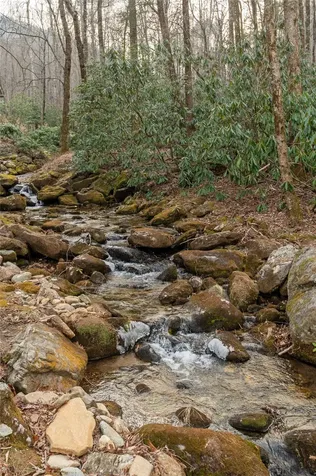 76 Ambleside Drive Sapphire NC 28774