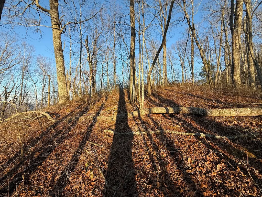 45 Big Pilot Mountain Glenville NC 28763